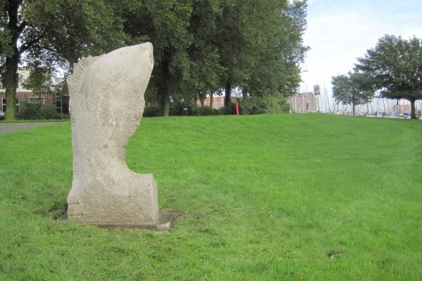 bastiaan-de-groot-vis