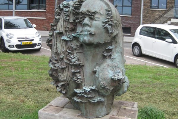 Omarming met elfenbankjes